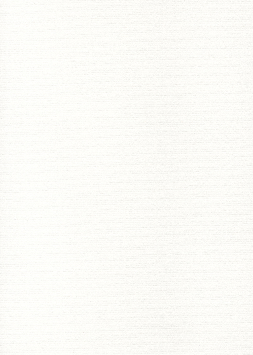 Textured paper - laid white sheet